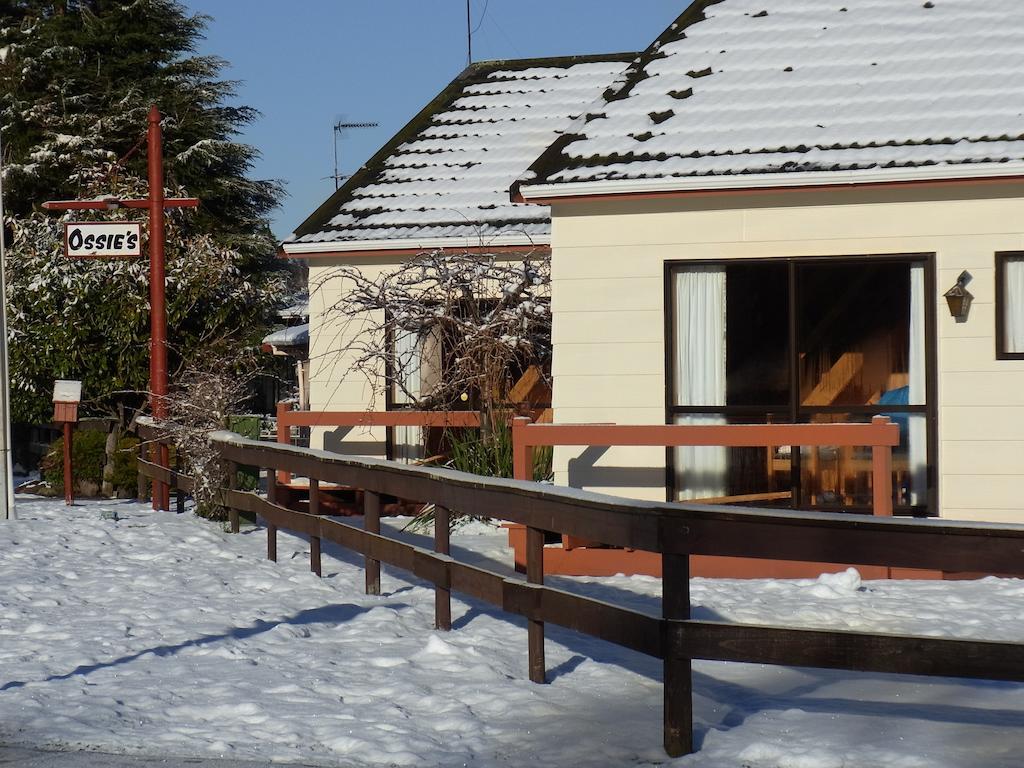 Ossies Motels And Chalets 오하쿠네 객실 사진