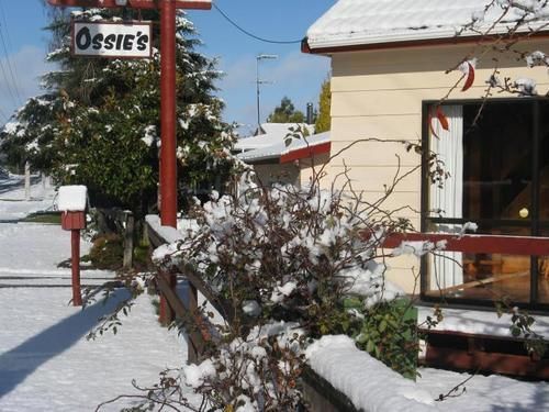 Ossies Motels And Chalets 오하쿠네 외부 사진