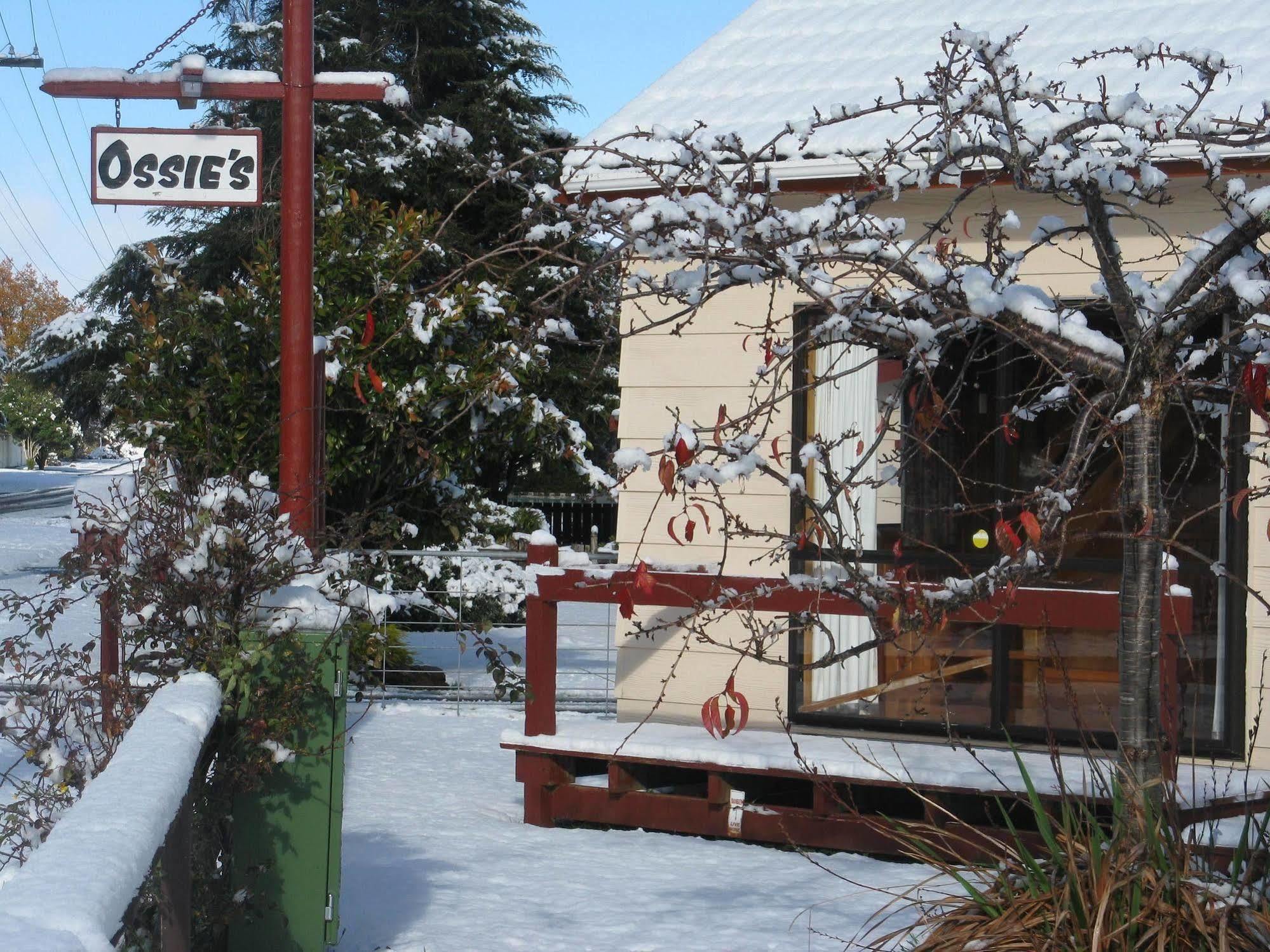 Ossies Motels And Chalets 오하쿠네 외부 사진