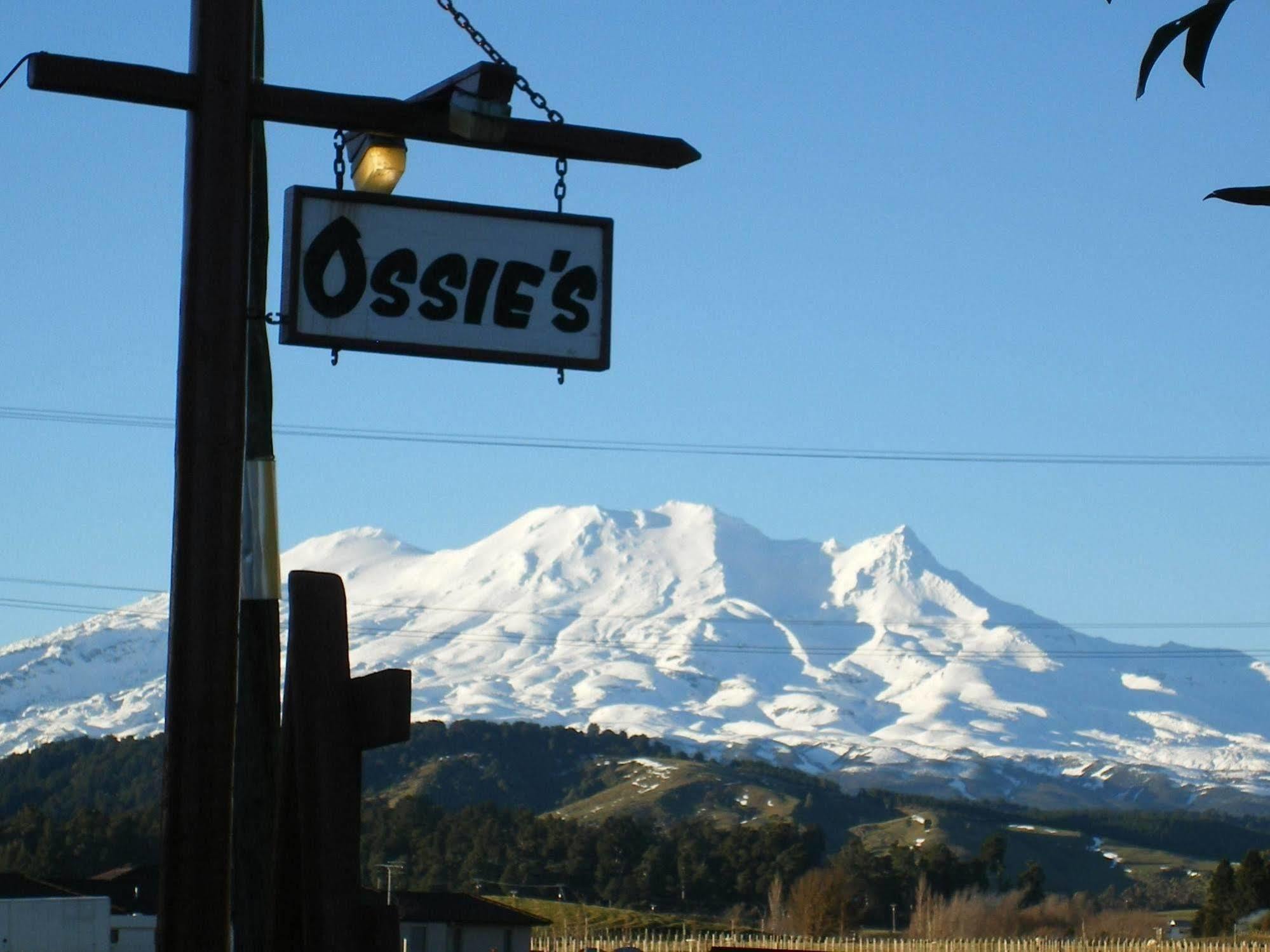 Ossies Motels And Chalets 오하쿠네 외부 사진